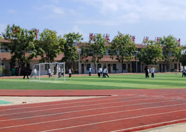 积极构建德智体美劳全面培育的教育体系形成体教交融产教协同